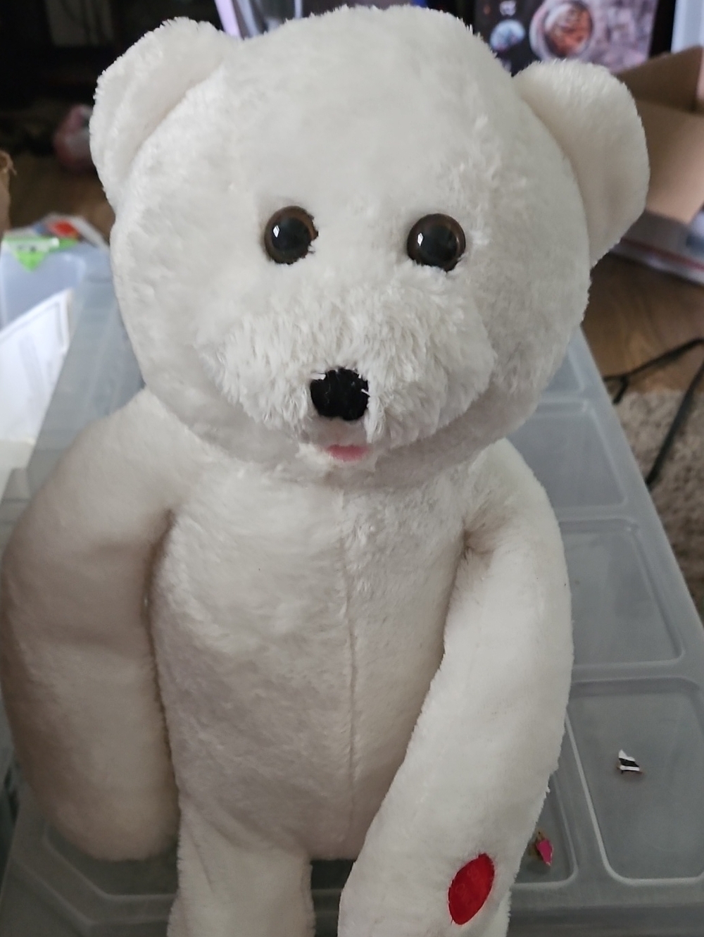 White Plush Teddy Bear with Red Paw Accent Works Sing Love You For Ever V77